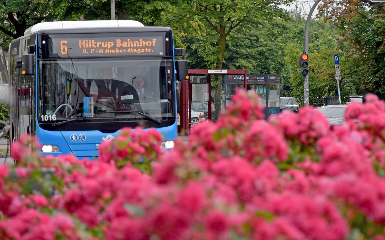 Neuer Busfahrplan für Münster - Antenne Münster