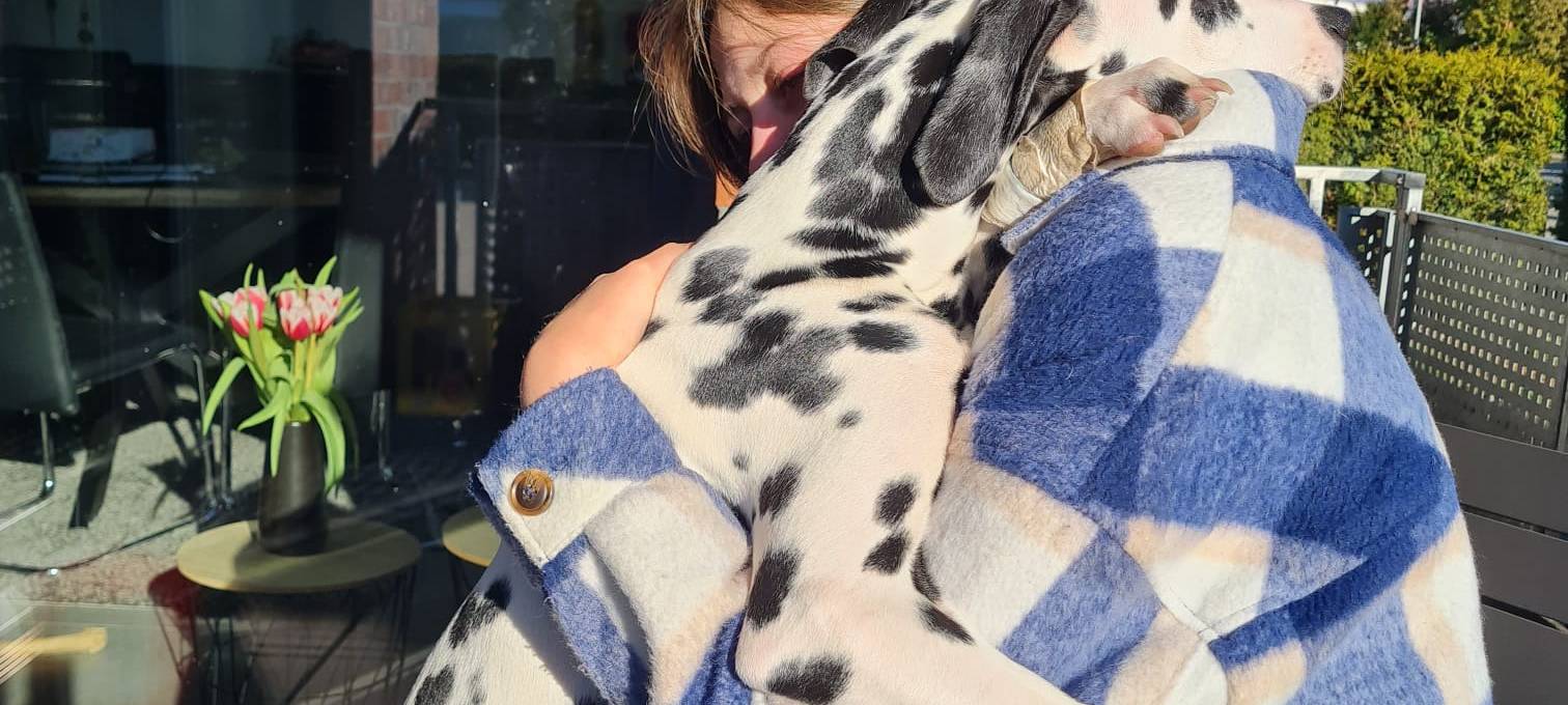 Münsters süßeste Hunde