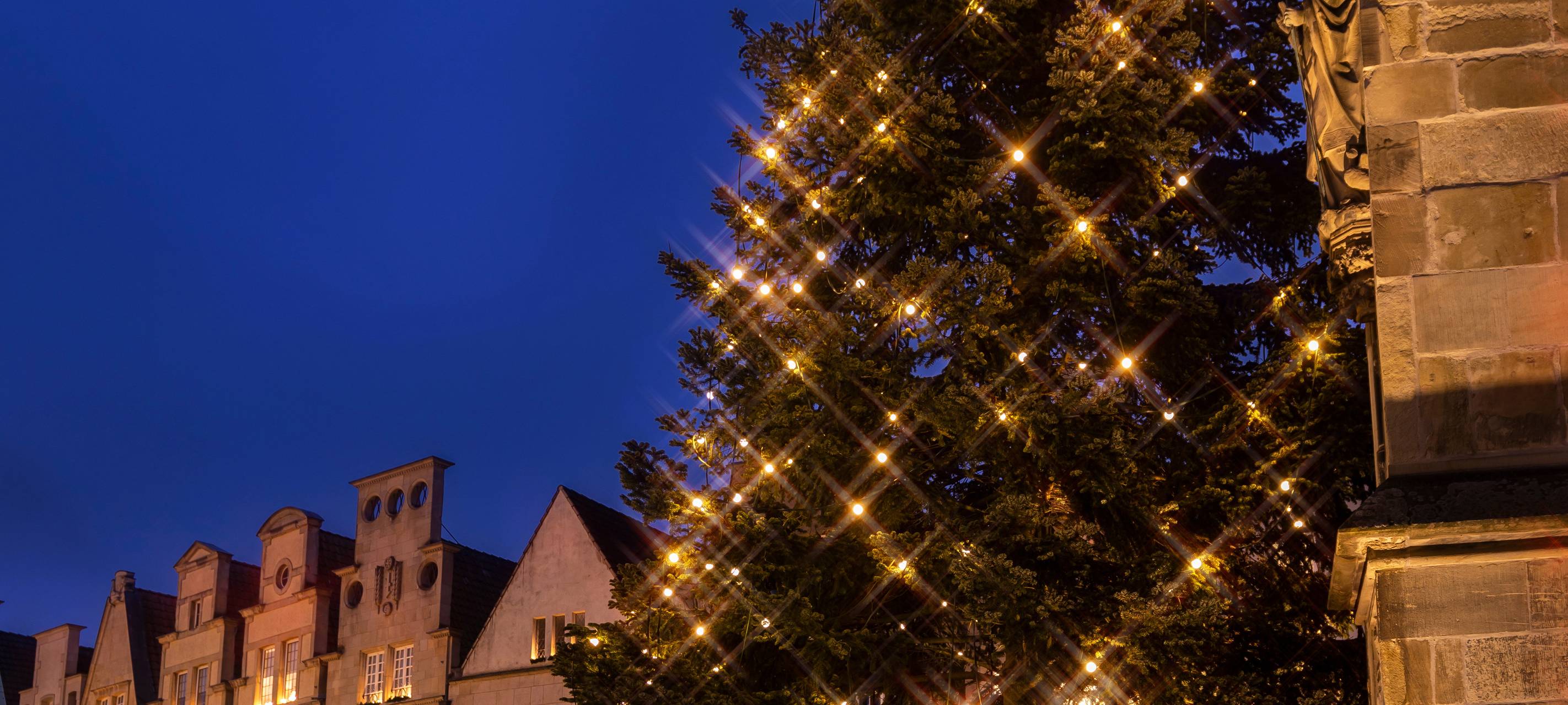 Weihnachtsmarkt ohne Lambertitanne?