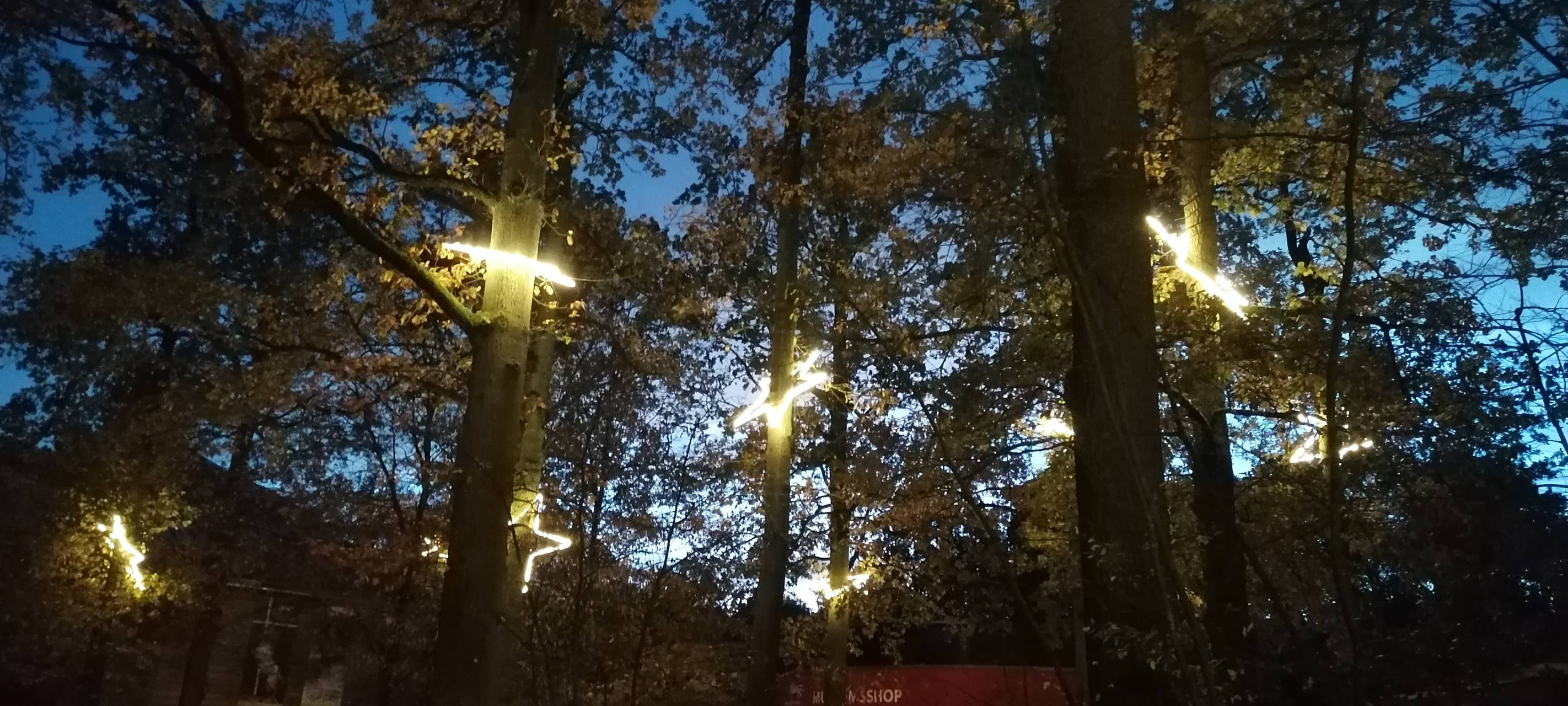 "XMAS-LIGHTS" im Zoo vorgestellt