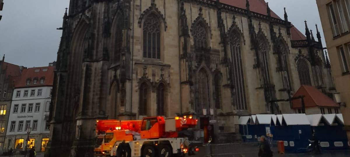 Die Lamberti-Tanne steht