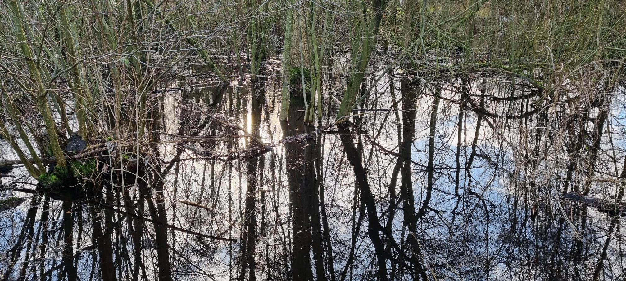 Hochwasserlage leicht entspannt