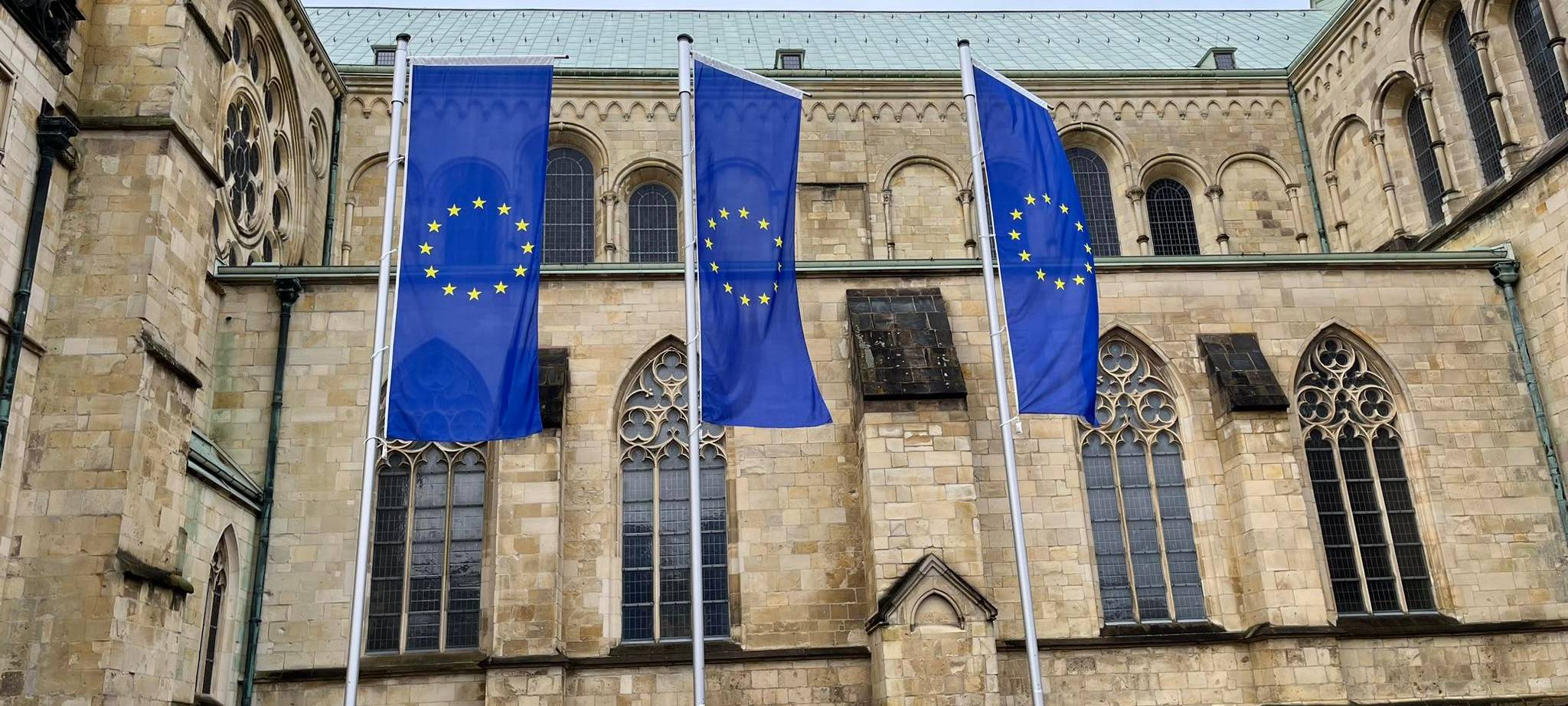 Europaflaggen gegen die AfD