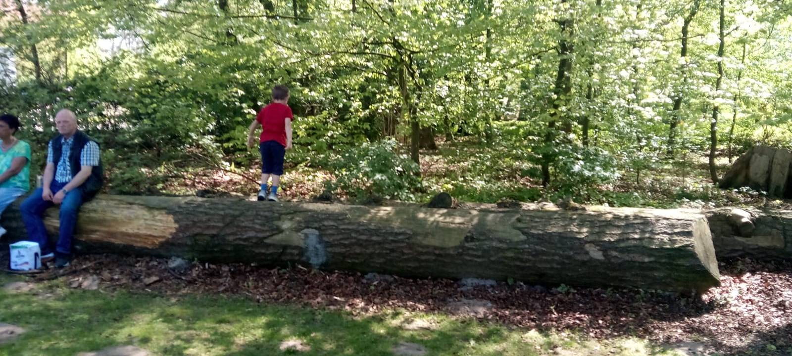 Die große Ostereiersuche im Schlossgarten