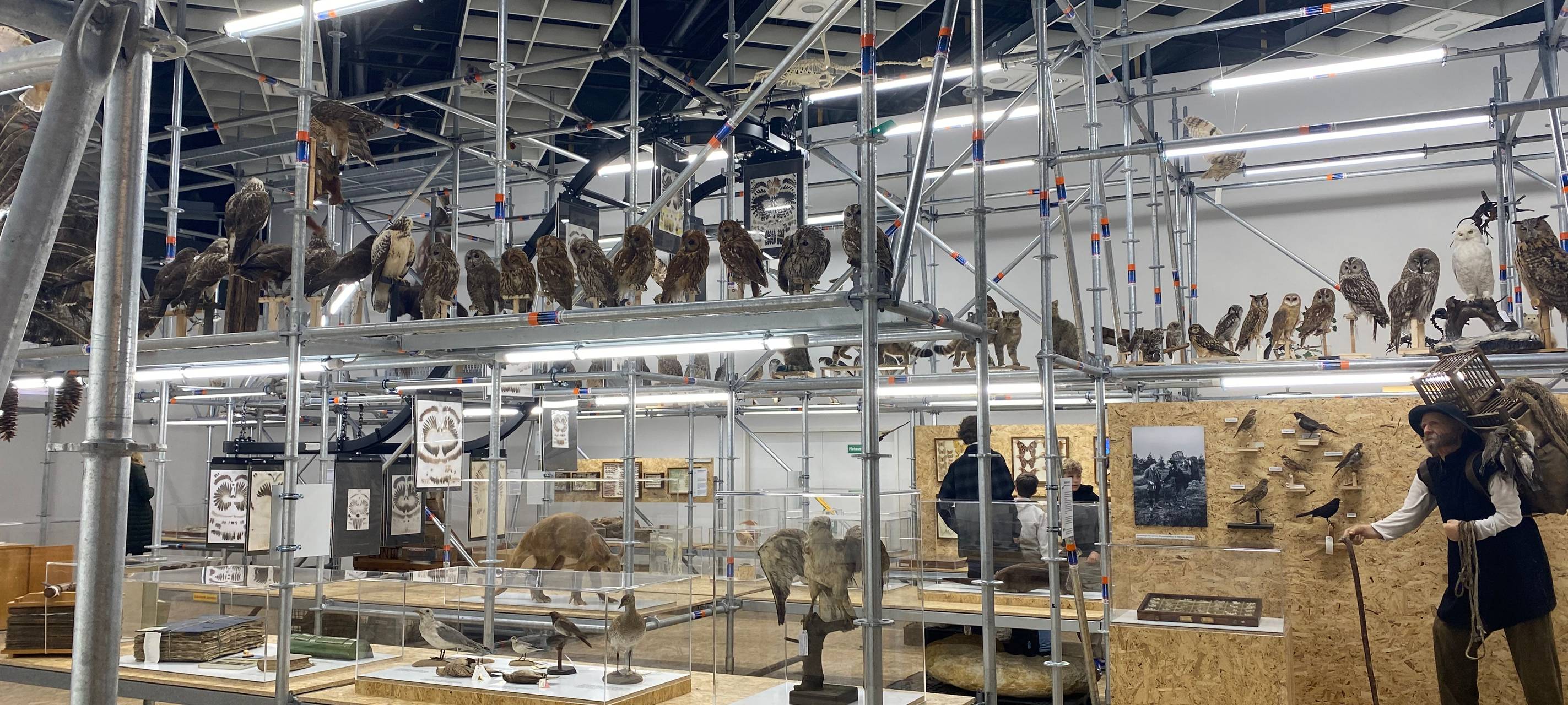 Münsters liebstes Museum