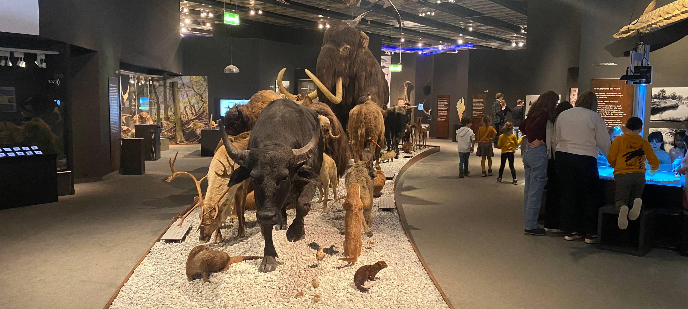 Münsters liebstes Museum