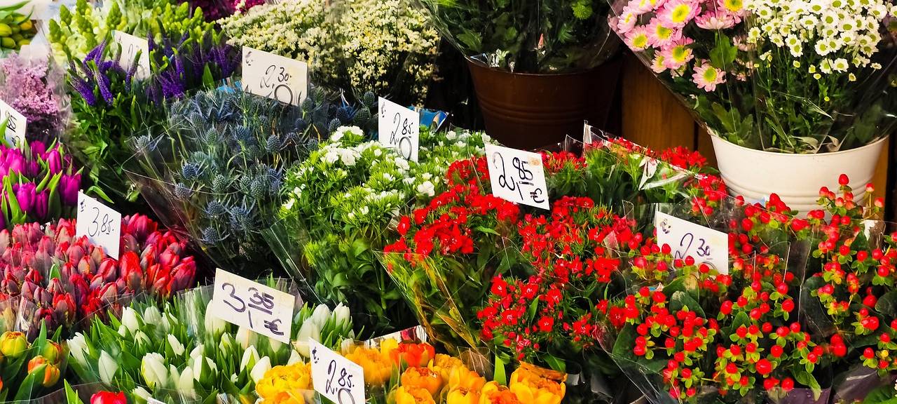 Münsters beliebtester Blumenladen