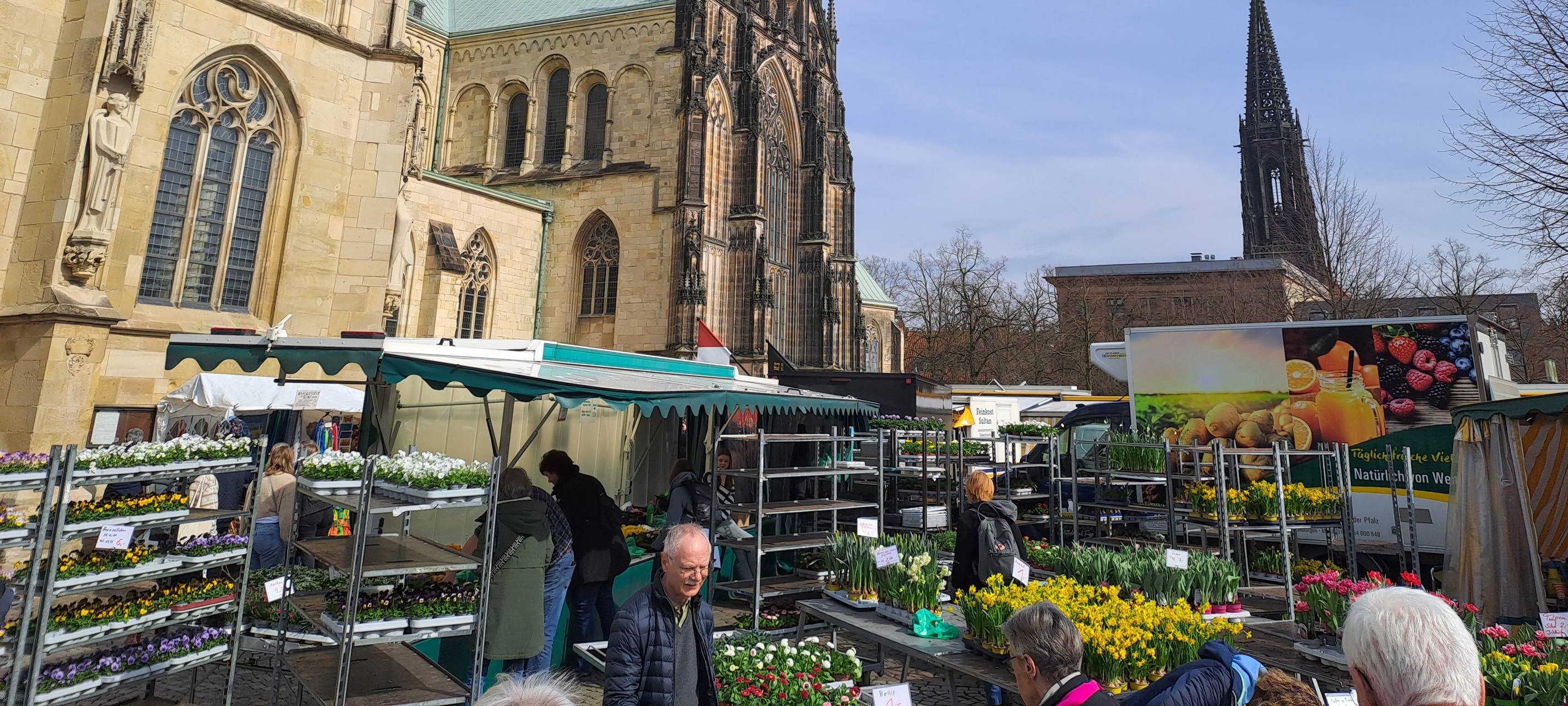 Frühlingserwachen in Münster