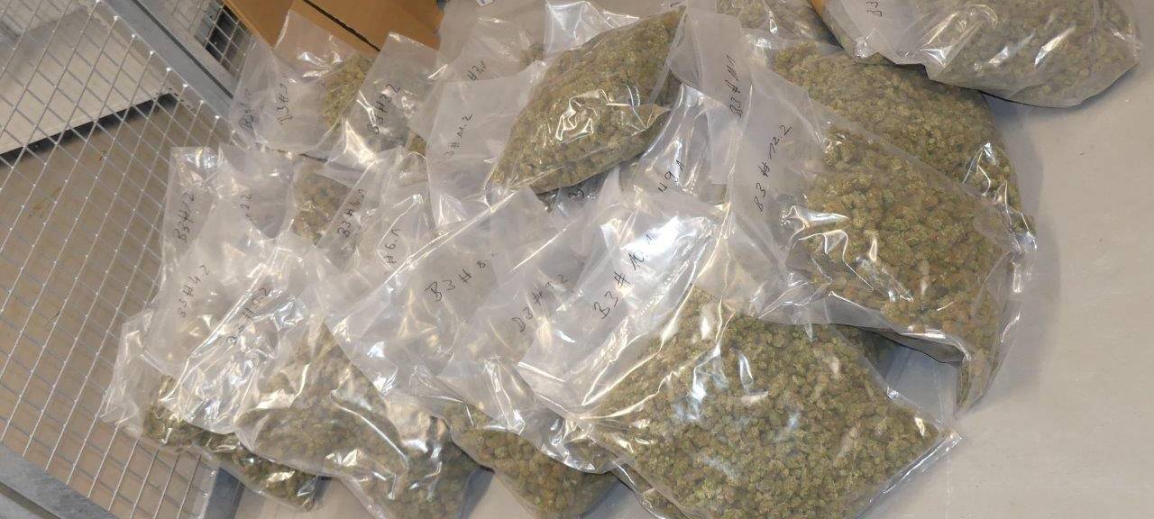 Schlag gegen die Drogenkriminalität