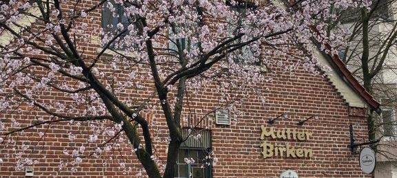 Frühlingserwachen in Münster