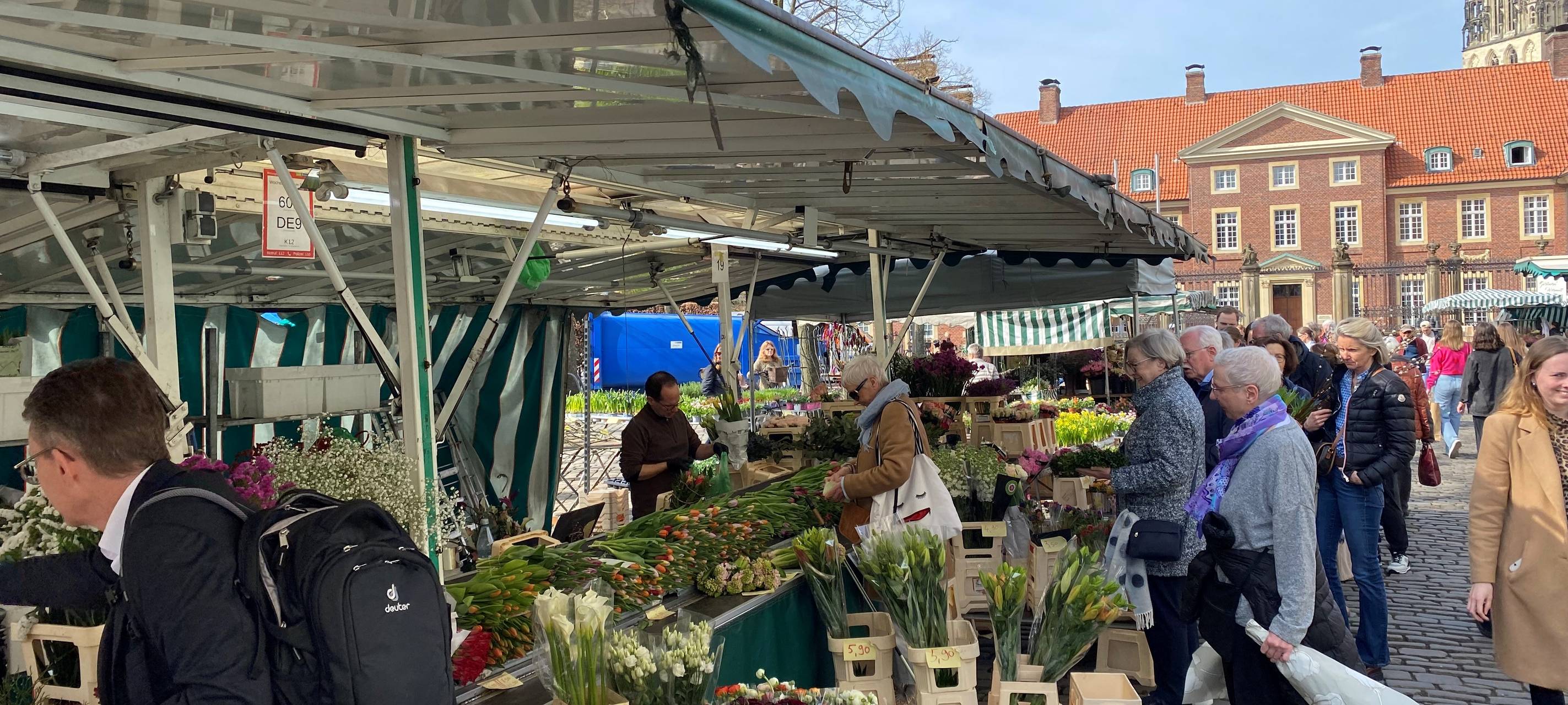 Frühlingserwachen in Münster