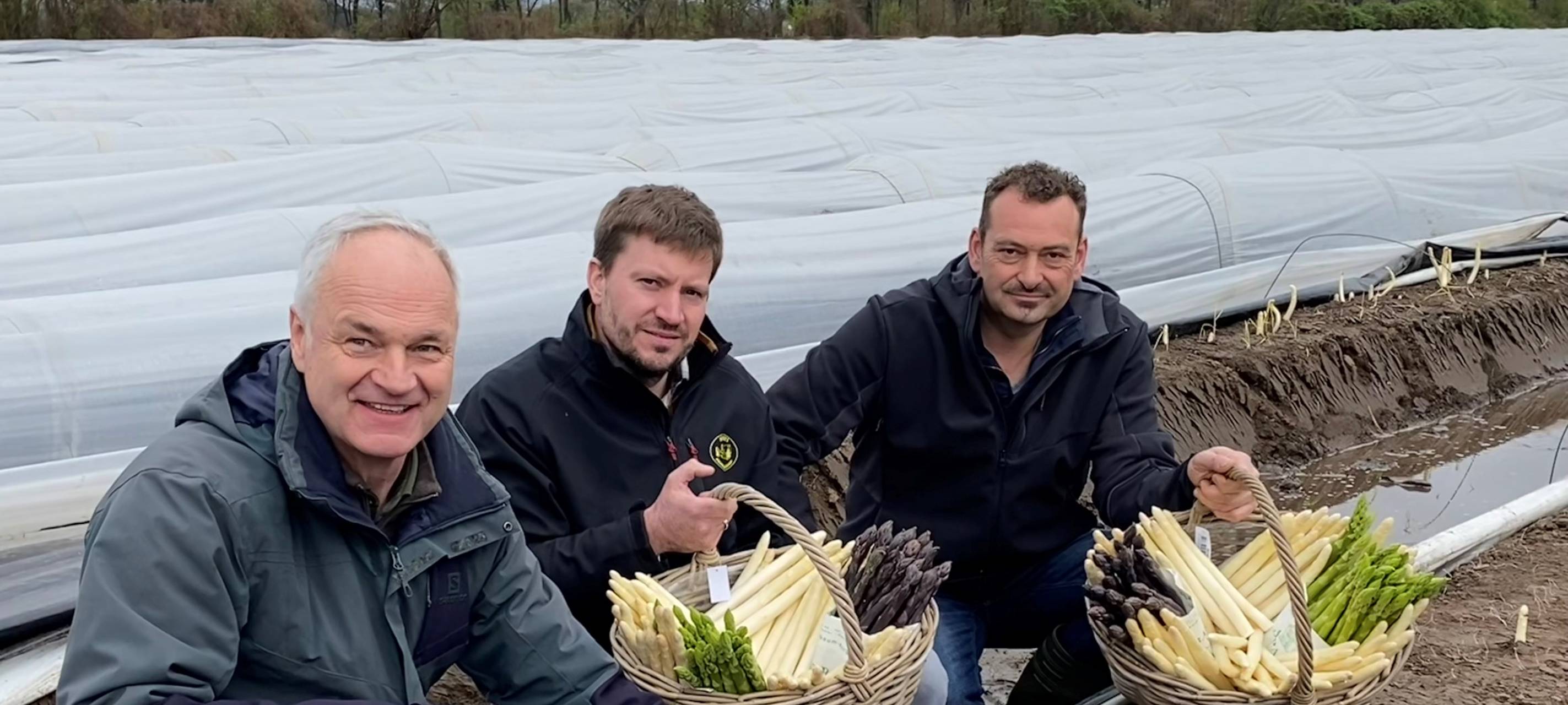 Frischer Spargel aus Münster