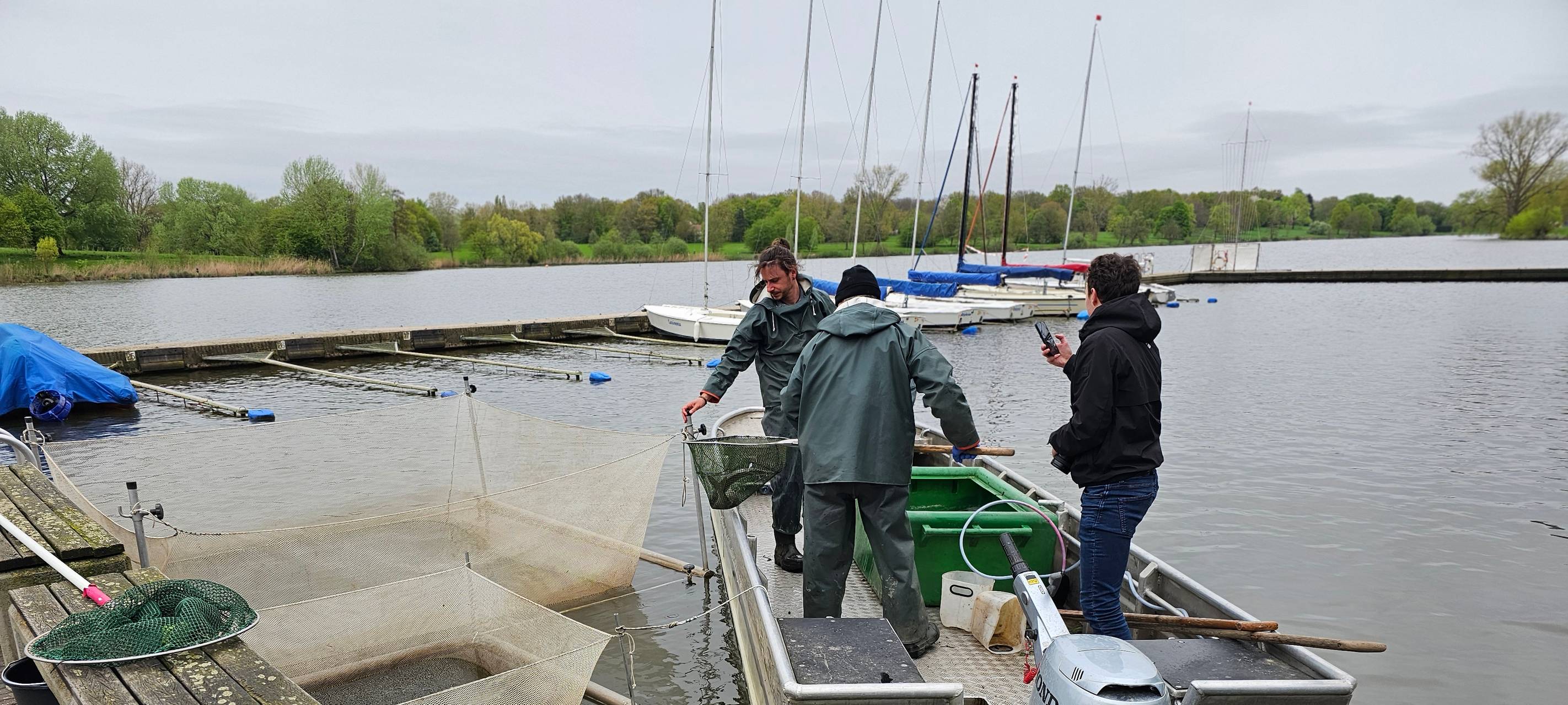 Fische aus dem Aasee geholt
