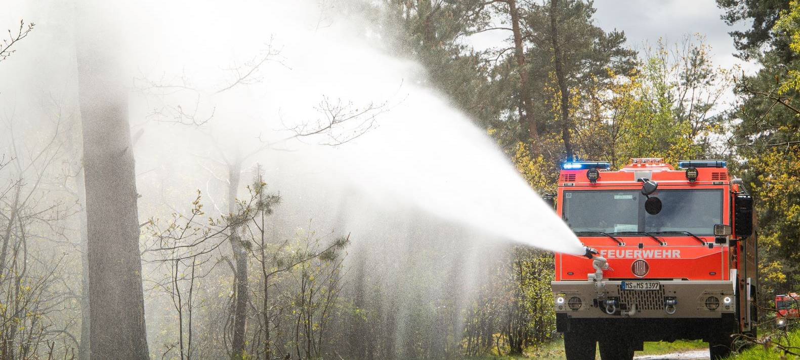 Waldbrandgefahr steigt: Wie verhalte ich mich richtig?