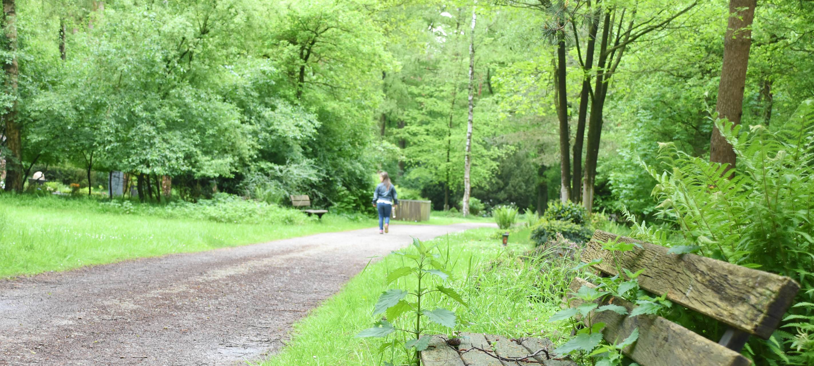 Fahrdienst auf dem Friedhof