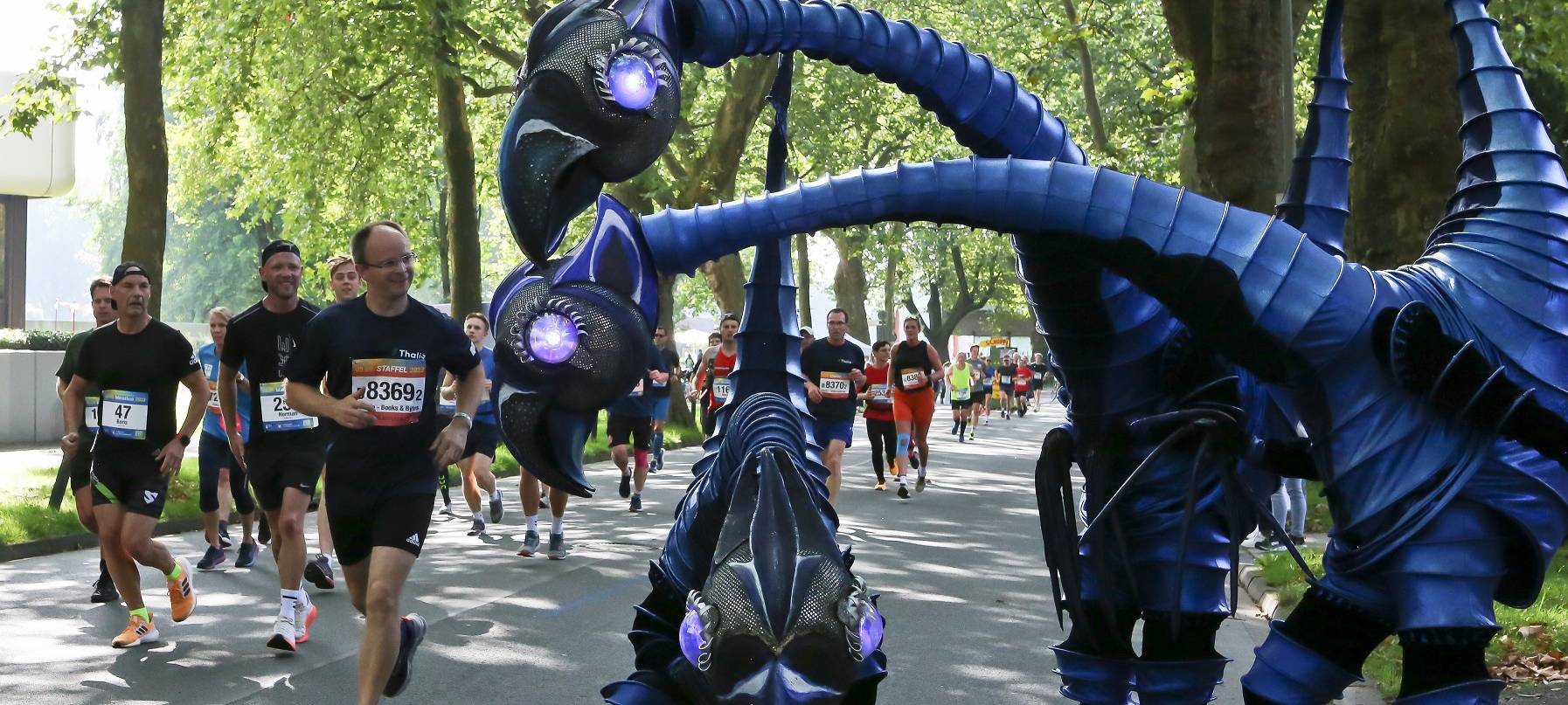 Rekord-Zahlen beim Marathon
