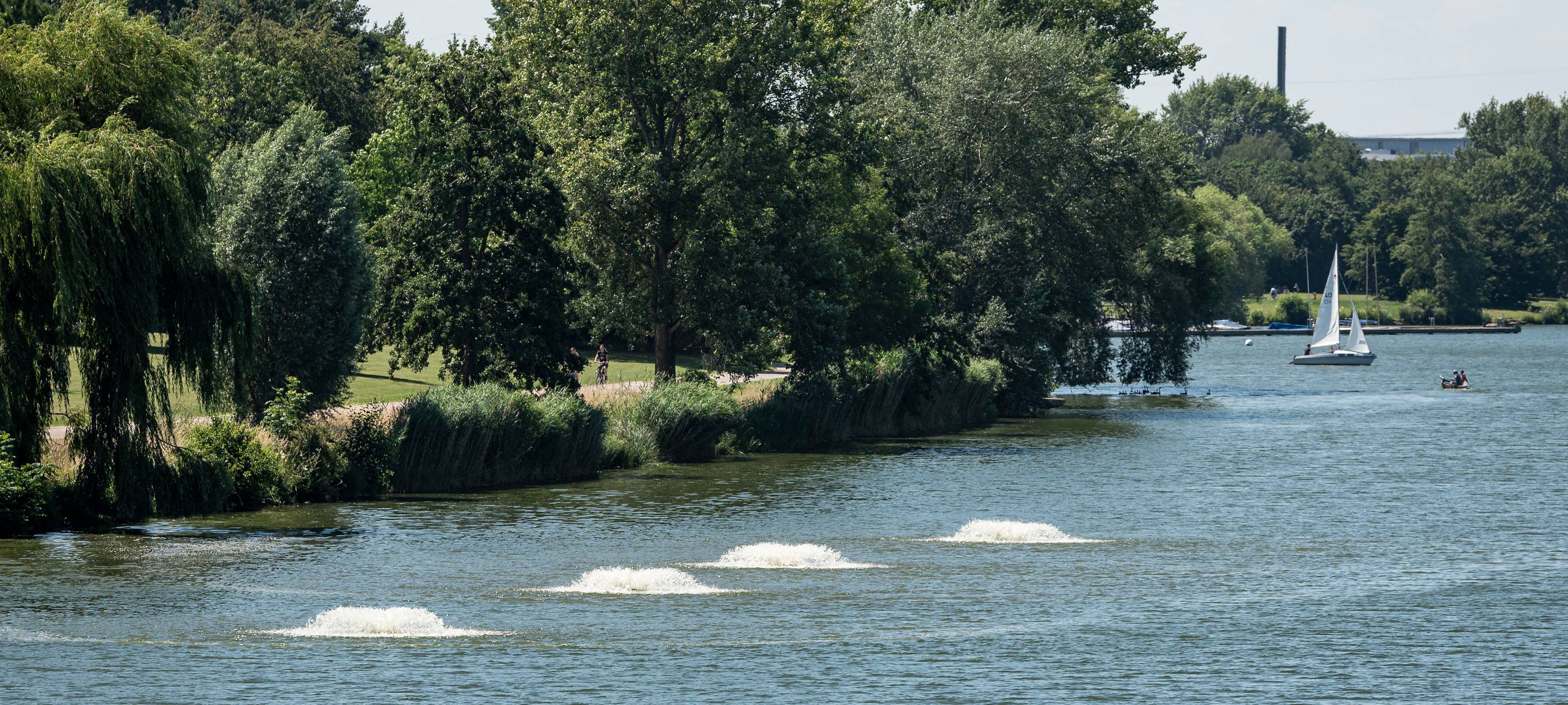 Blaualgen am Aasee abgesaugt