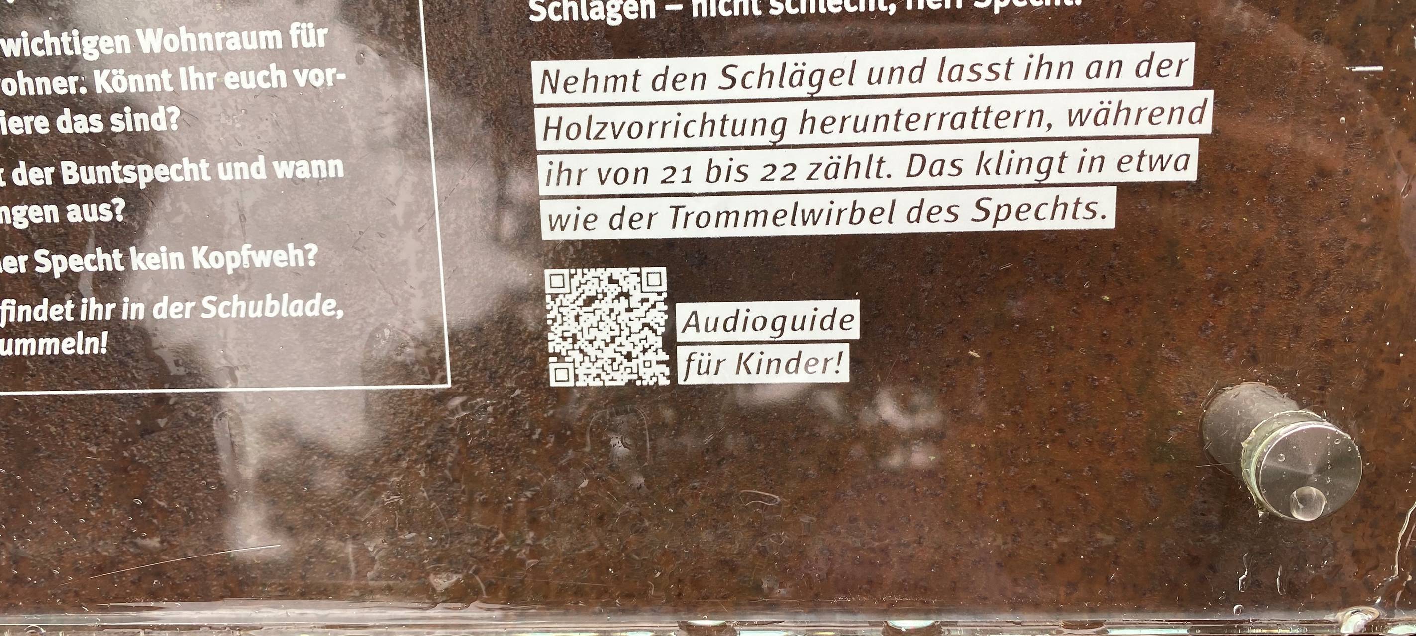 Audioguide für den Baumerlebnispfad
