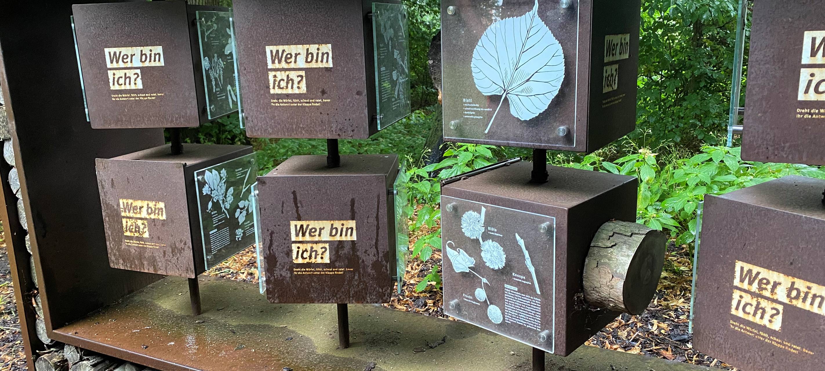 Audioguide für den Baumerlebnispfad