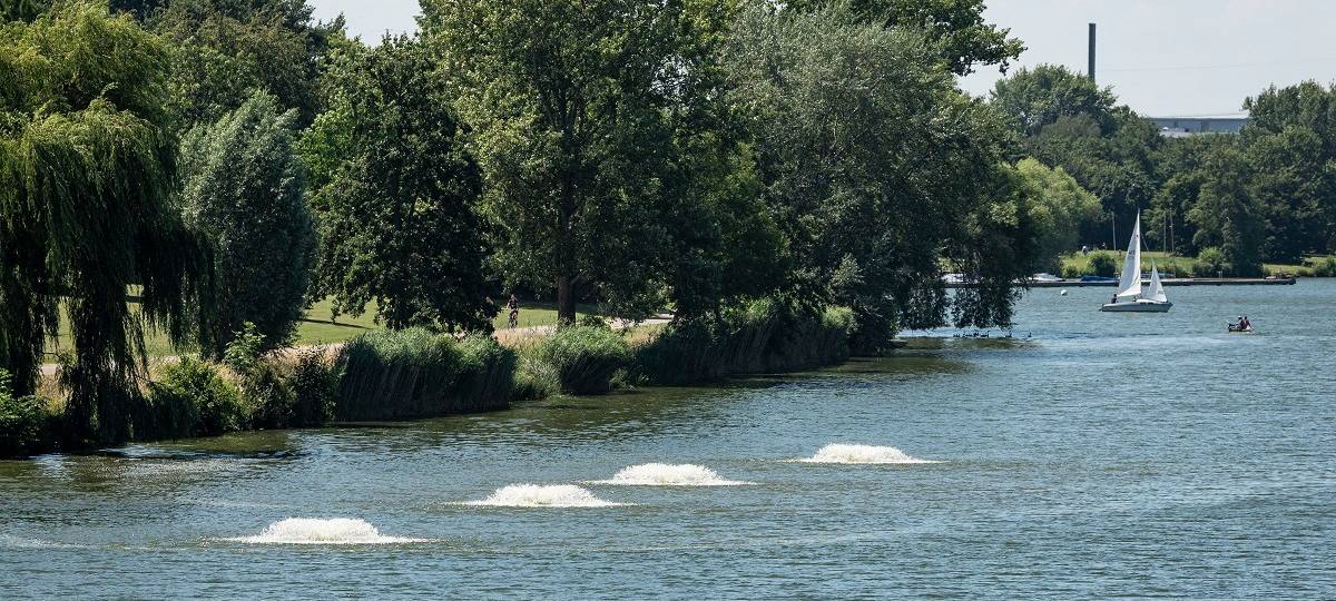 Blaualgen-Problem bleibt bestehen