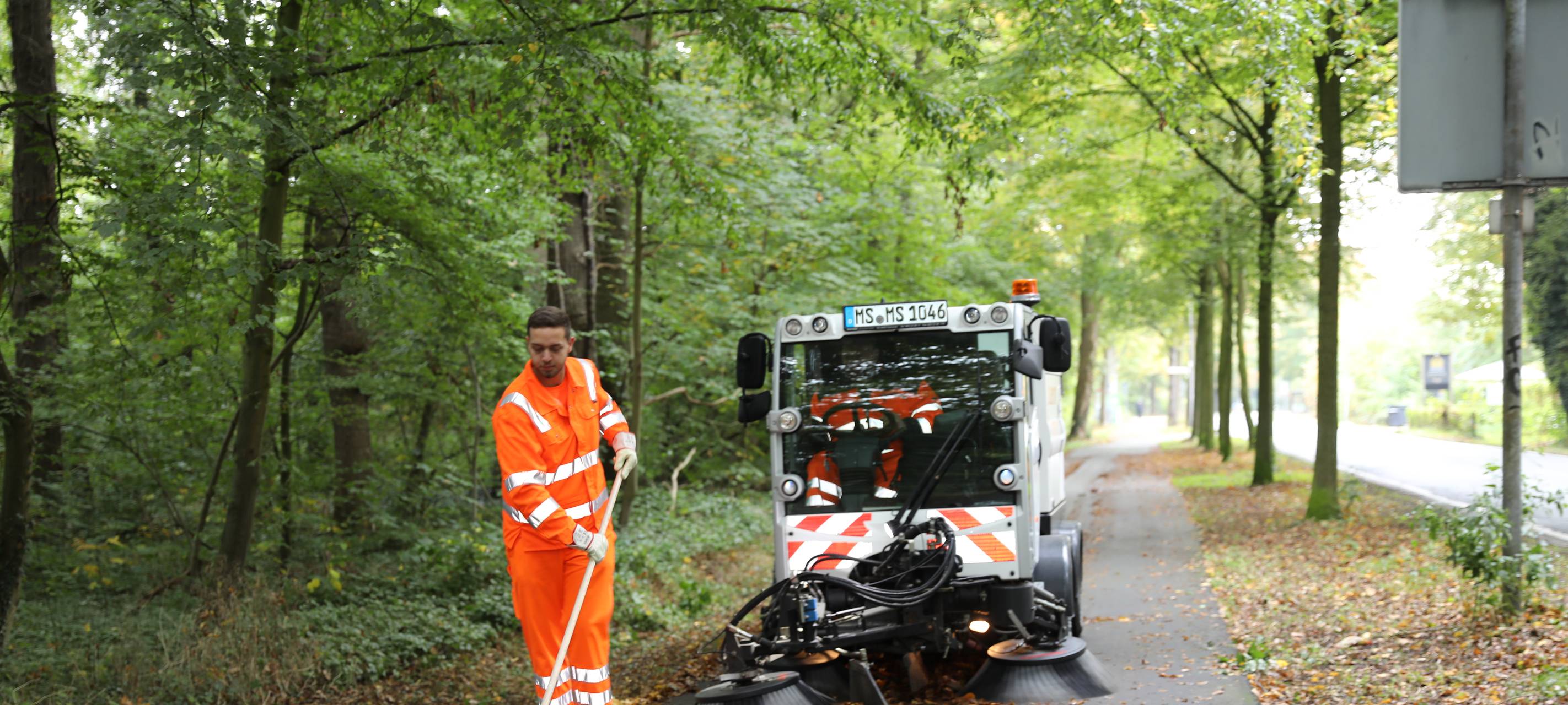 1.000 Tonnen Laub müssen weg
