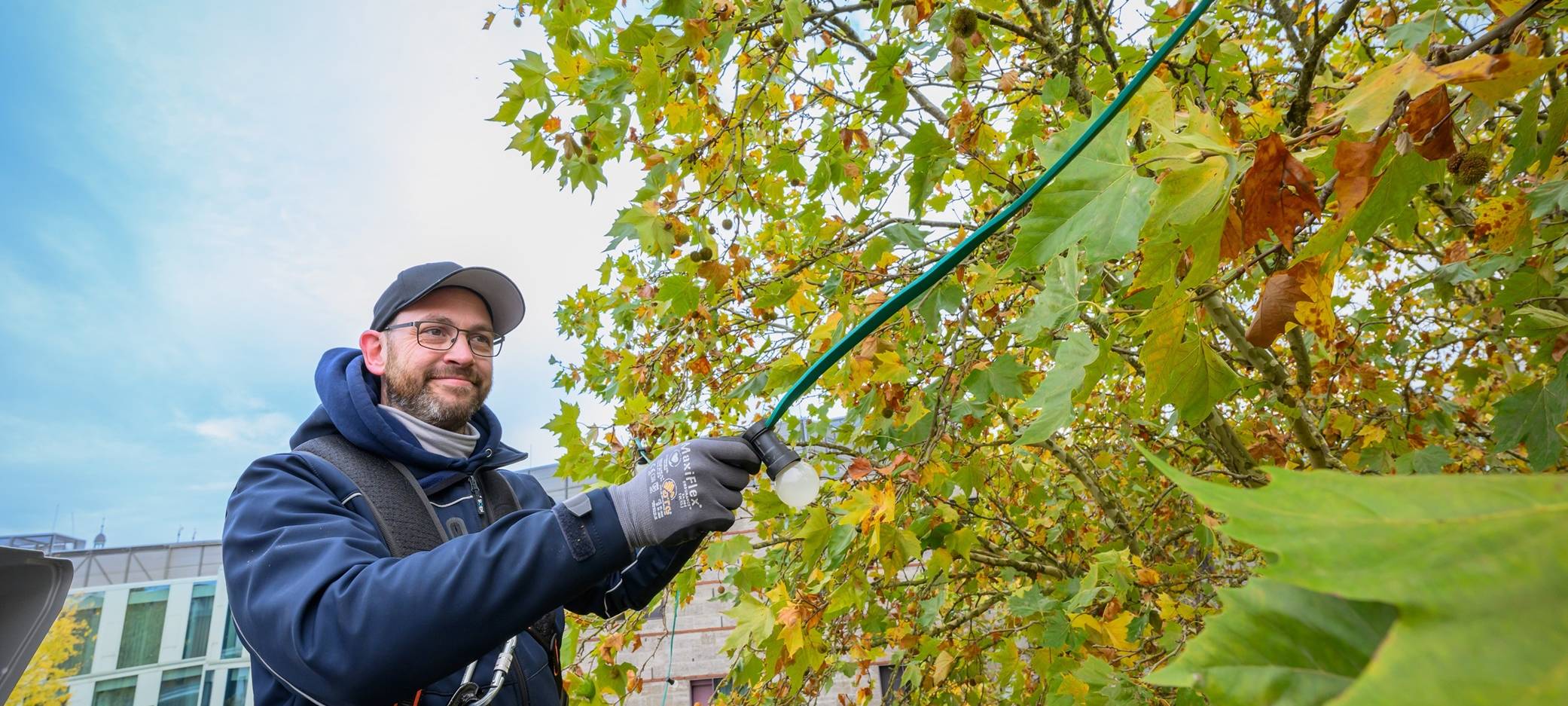 Münster wird weihnachtlich