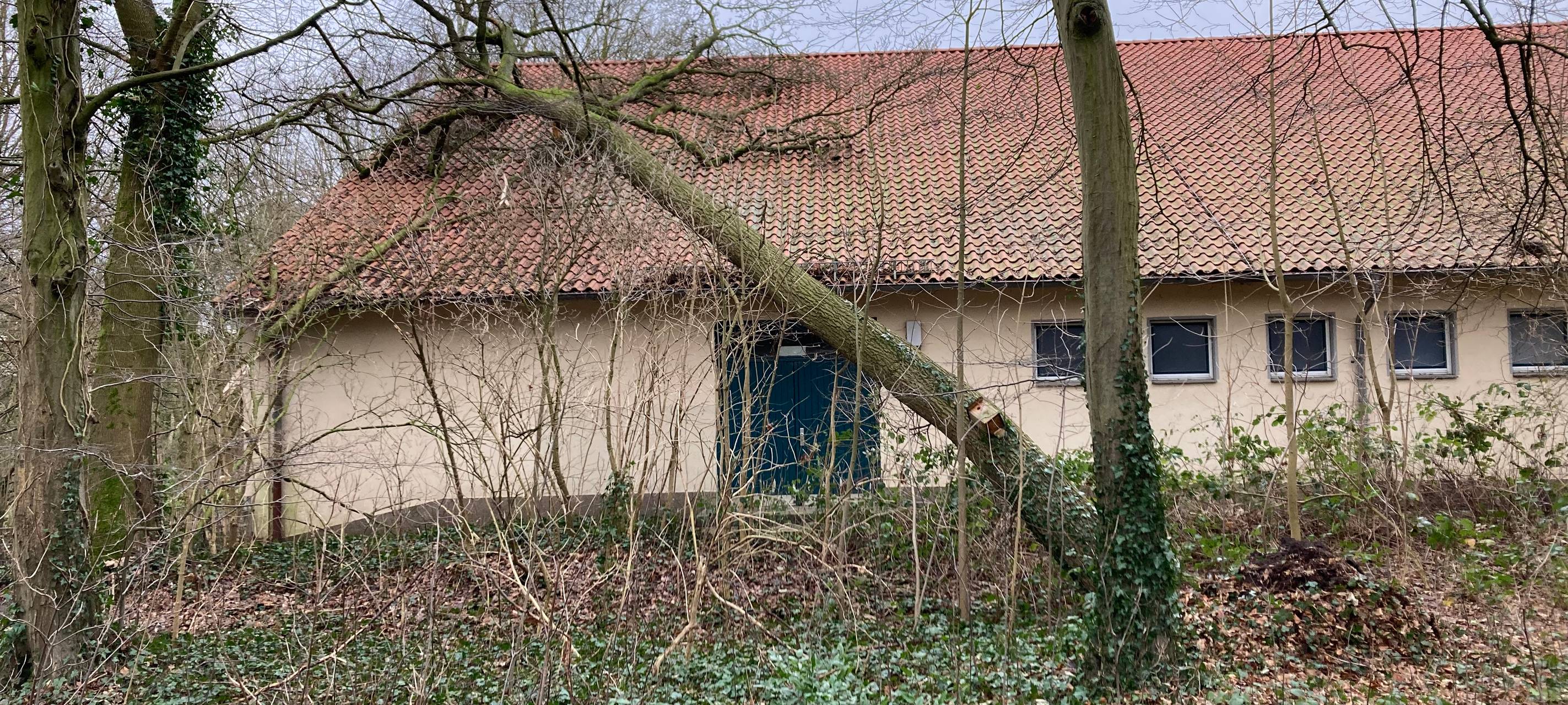 Baum stürzt auf Turnhallendach
