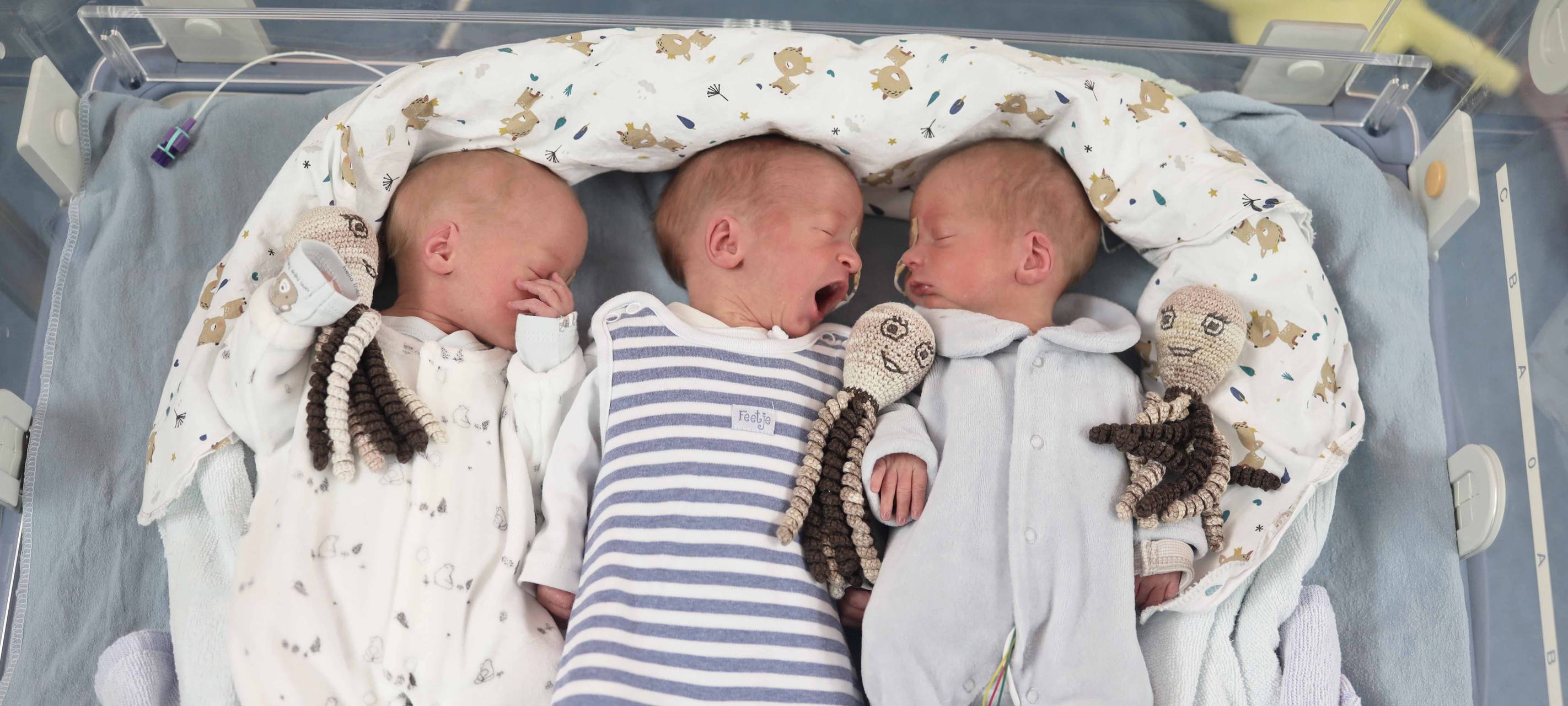 Drillinge in Münster geboren