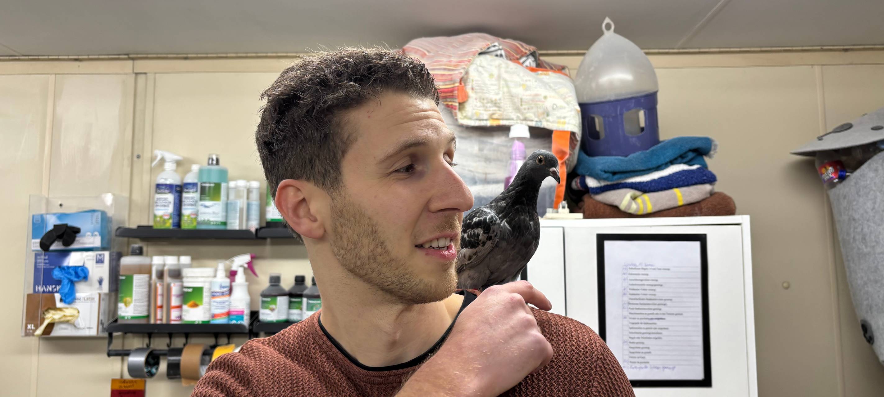 Von wegen "Ratten der Lüfte"!