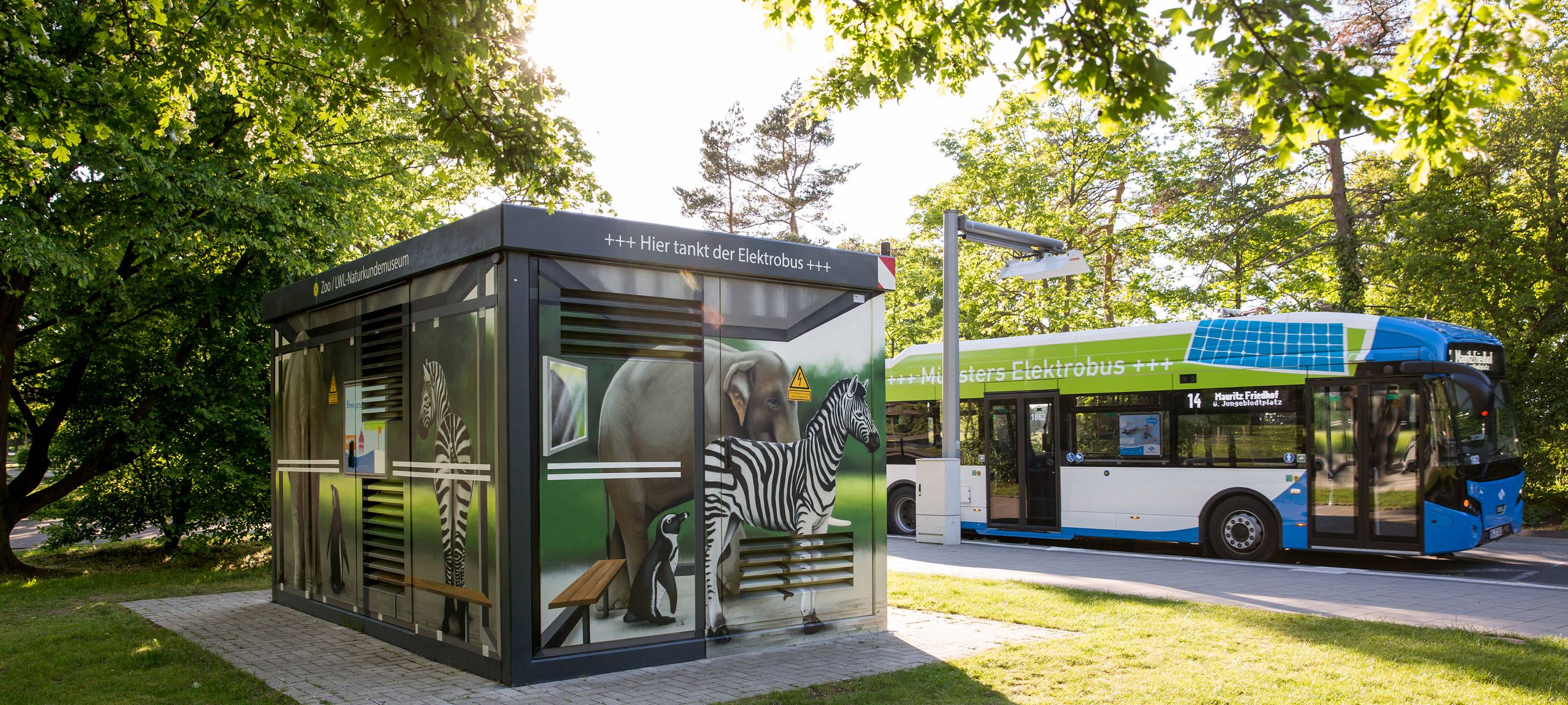 Die Linien 2, 10, 14 und 17 fahren an Schultagen wieder in ihrem regulären Takt. Hier fährt die 14 gerade von der Endhaltestelle am Zoo ab.
