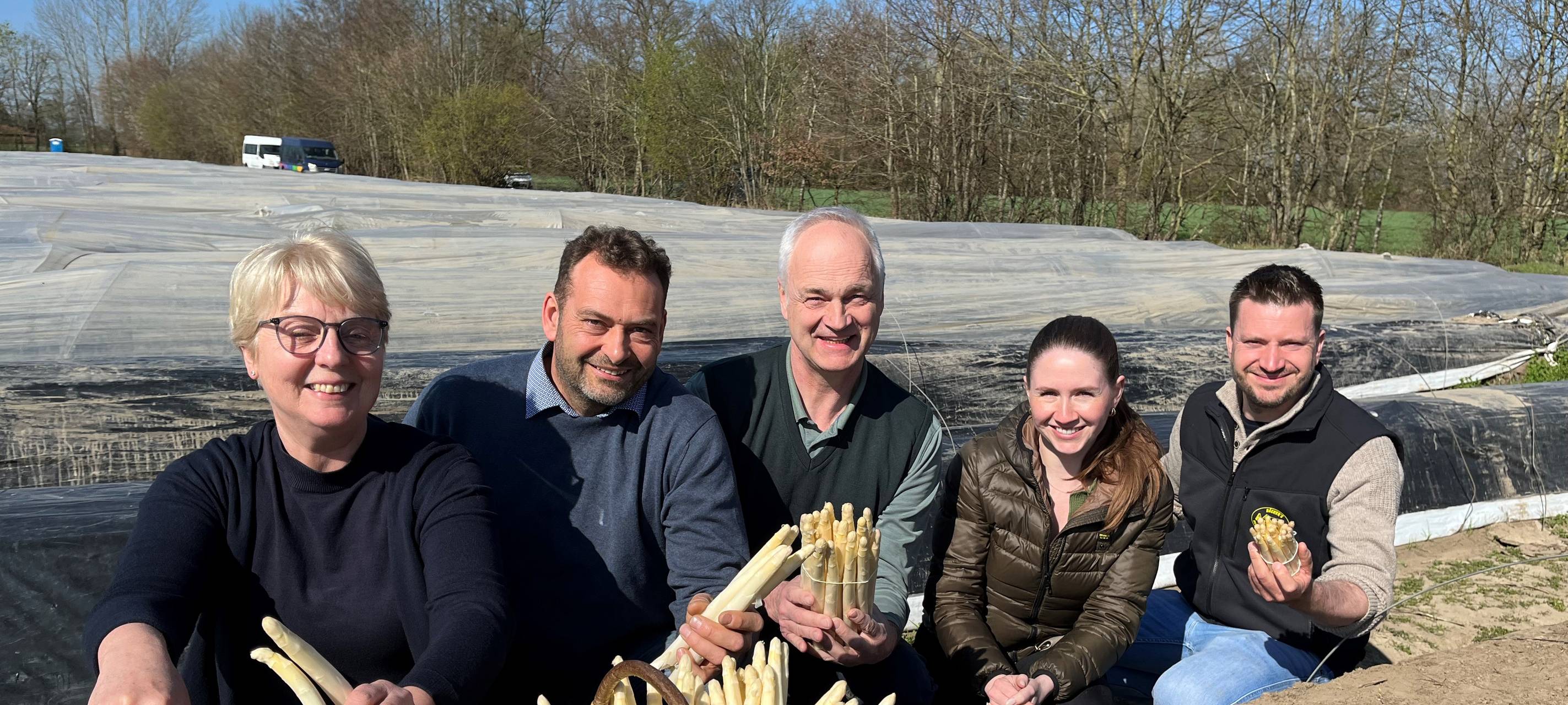 Fünf Menschen stechen Spargel