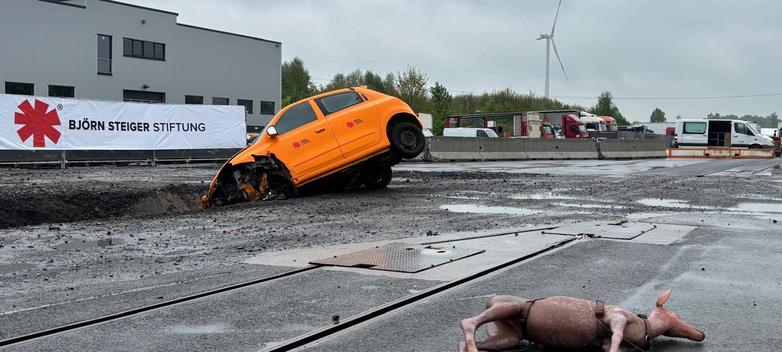 Auf dem Bild sieht man ein anfahrendes Reh und ein verunfalltes Auto