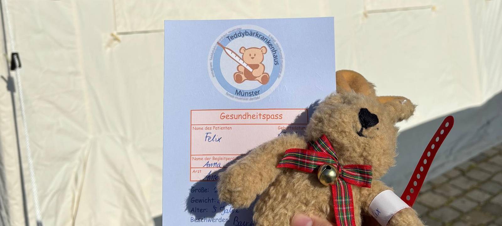 Kuscheltiere werden in Münster verarztet
