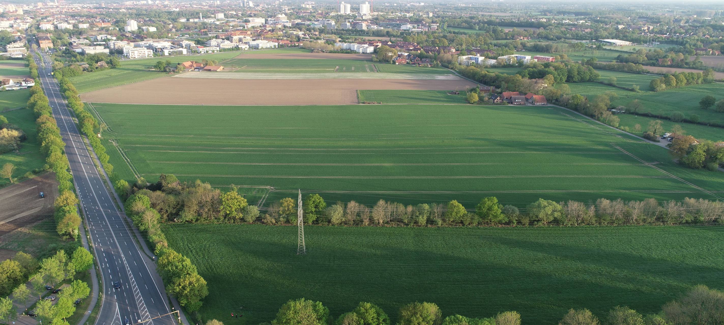 Luftbild der Steinfurter Straße in Münster.