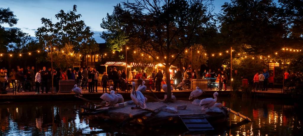 "Nachts im Zoo" lockt nach Münster