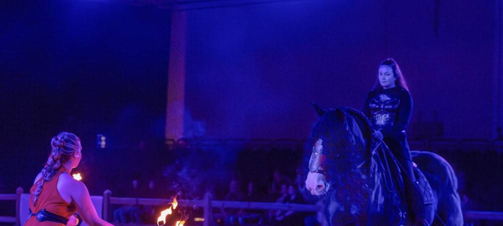 "Nachts im Zoo" lockt nach Münster