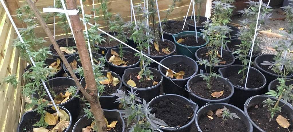 Drogenbande verurteilt