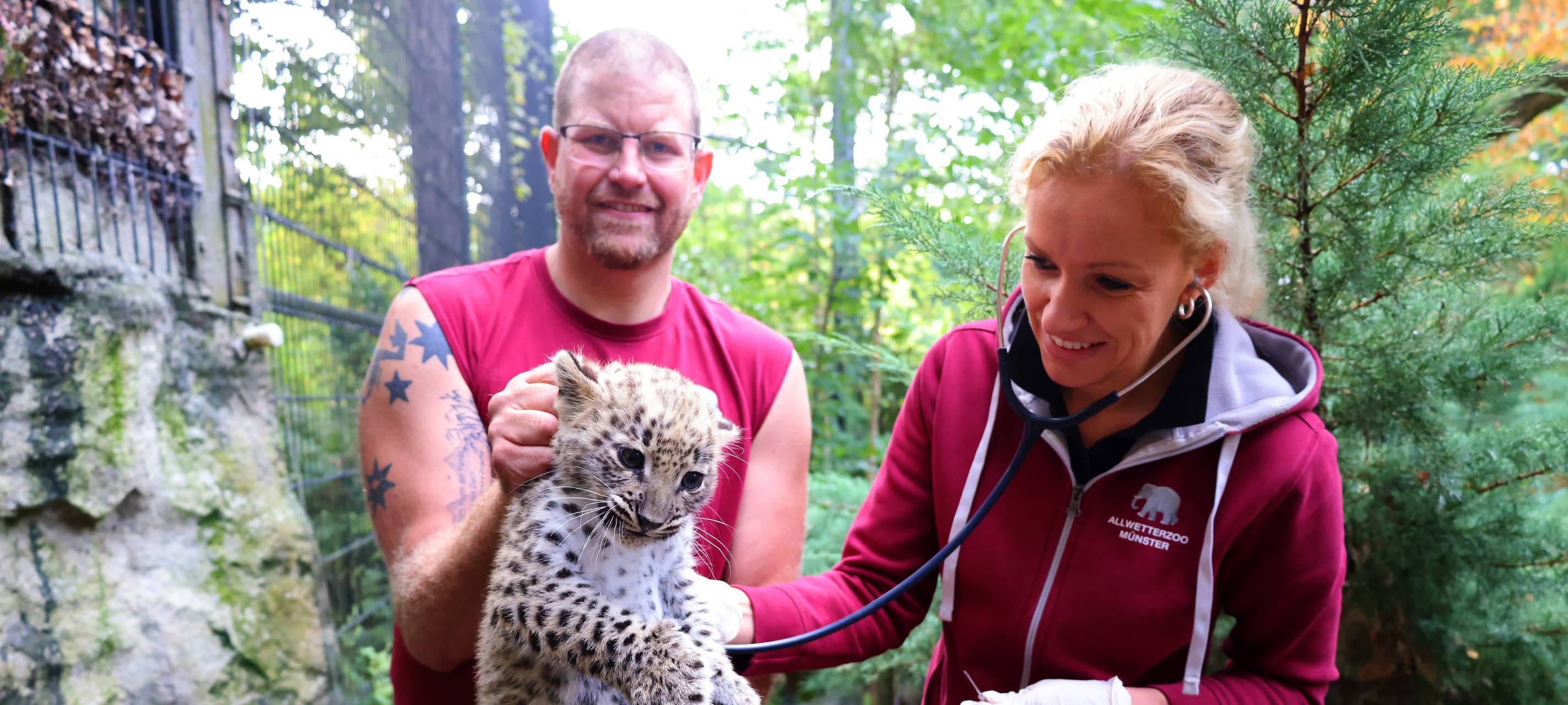 Wie soll der kleine Leopard heißen?