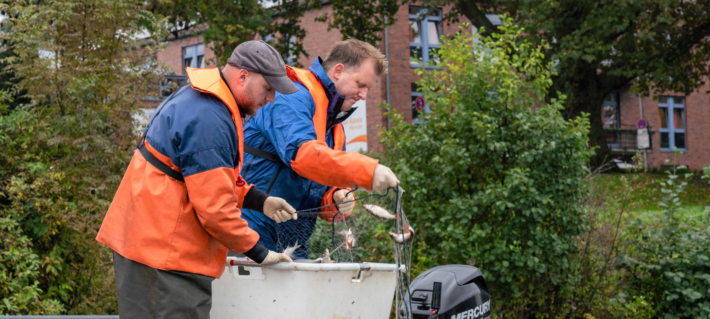 Fischbestand im Aasee erholt sich weiter