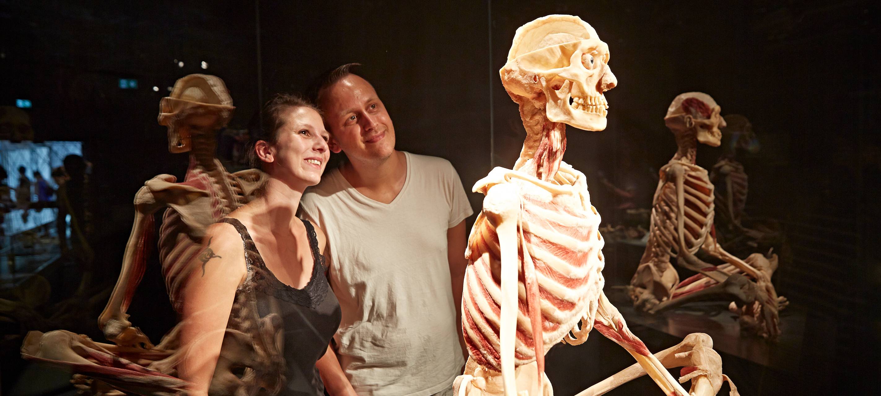 "Körperwelten" kommt nach Münster