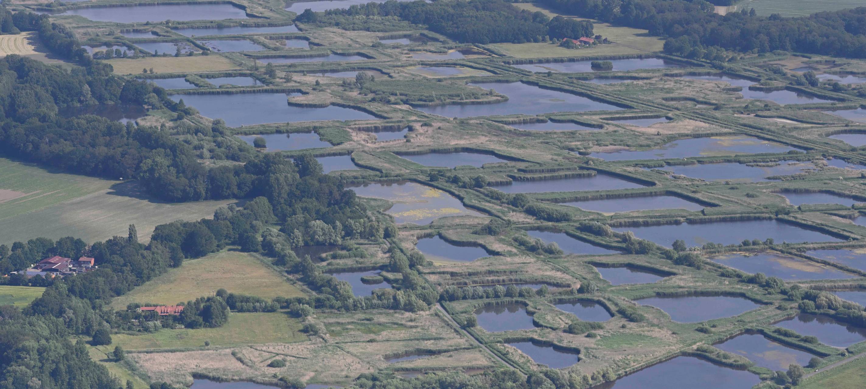 Luftbild Rieselfelder.