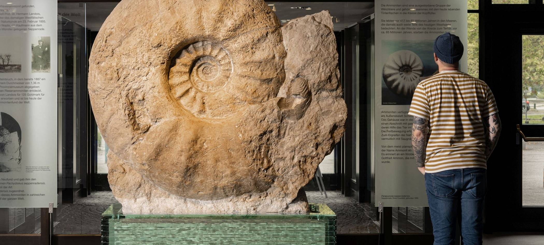 Der ANTENNE MÜNSTER-Newsticker