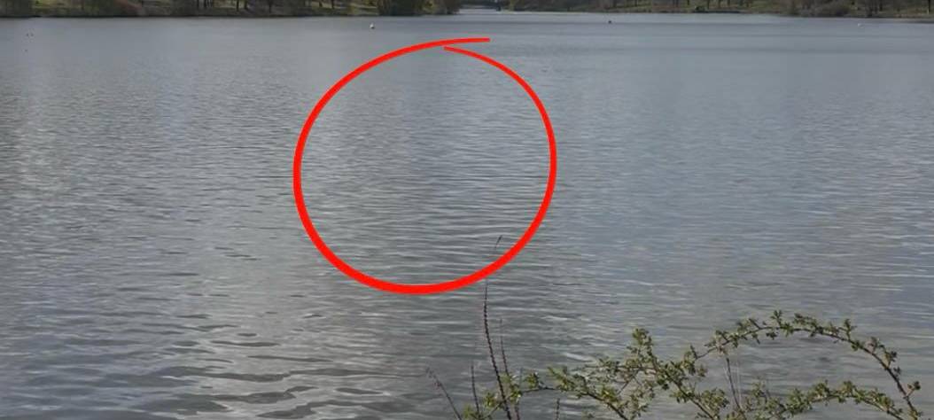 April, April: Die Tarn-Ente