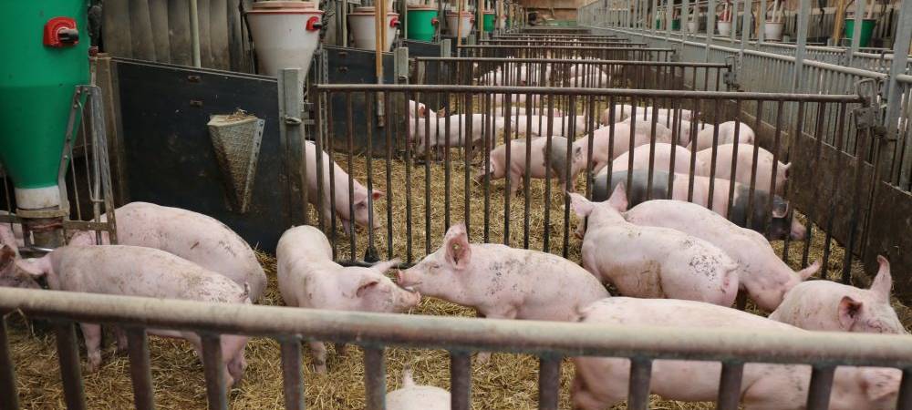 Bundesverdienstkreuz für Hugo Gödde aus Münster