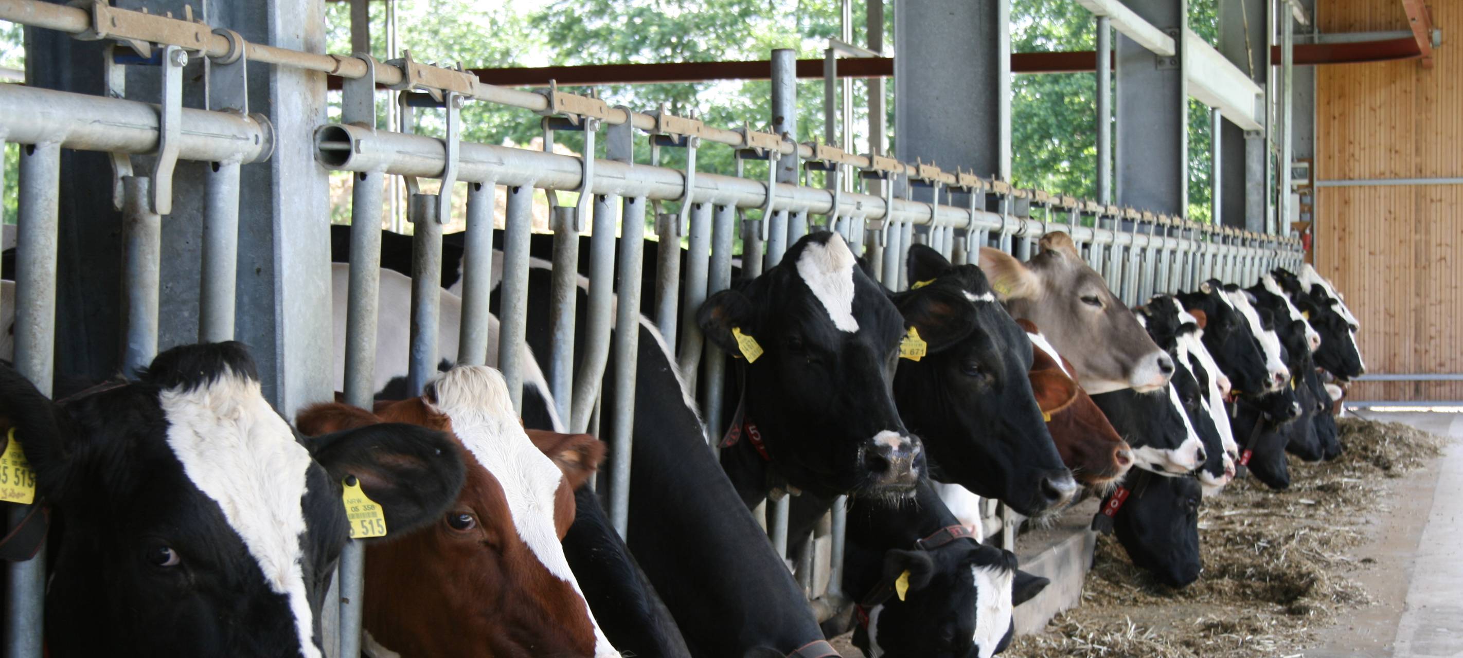 WLV kritisiert Tier- und Umweltschutzgesetz