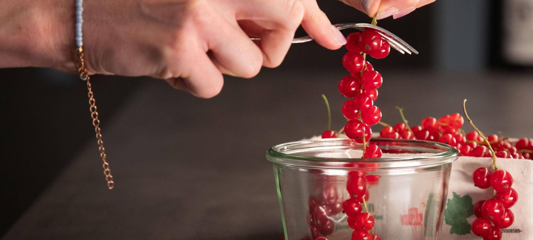 Mit einer Gabel werden Johannisbeeren von der Rispe entfernt