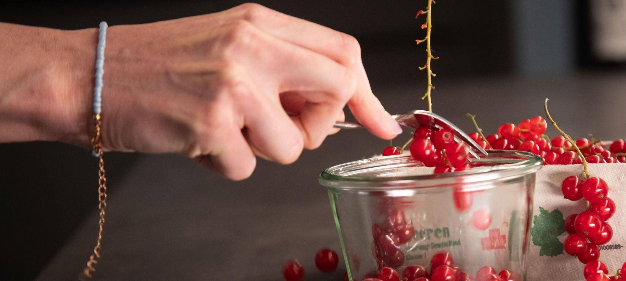 Mit einer Gabel werden Johannisbeeren von der Rispe entfernt