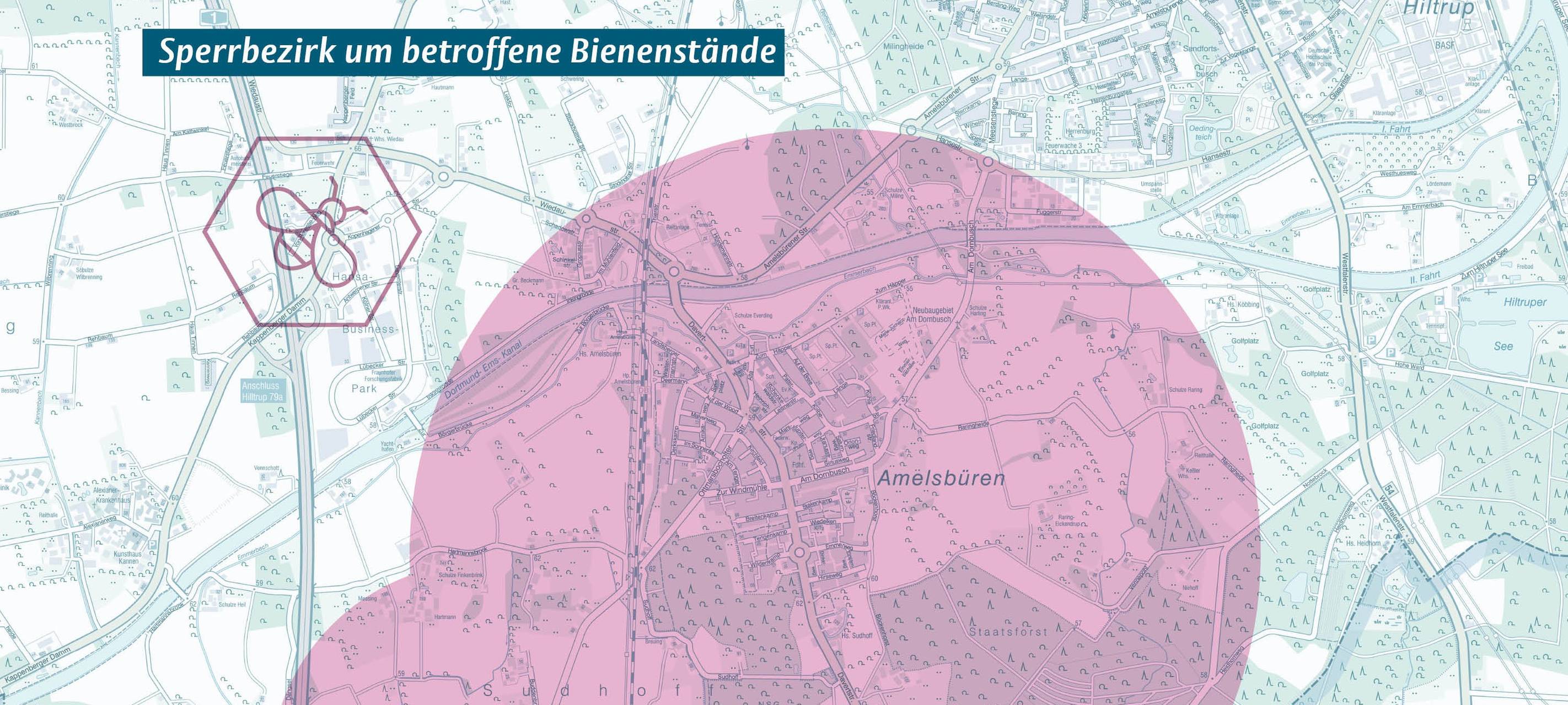 Nach der amtlichen Feststellung der Amerikanischen Faulbrut hatte die Stadt im Mai Sperrbezirke mit einem Radius von einem beziehungsweise zwei Kilometern um die betroffenen Bienenstände in Amelsbüren errichtet. Diese bleiben nach dem Nachweis der Tierseuche an einem weiteren Bienenstand vorerst bestehen.