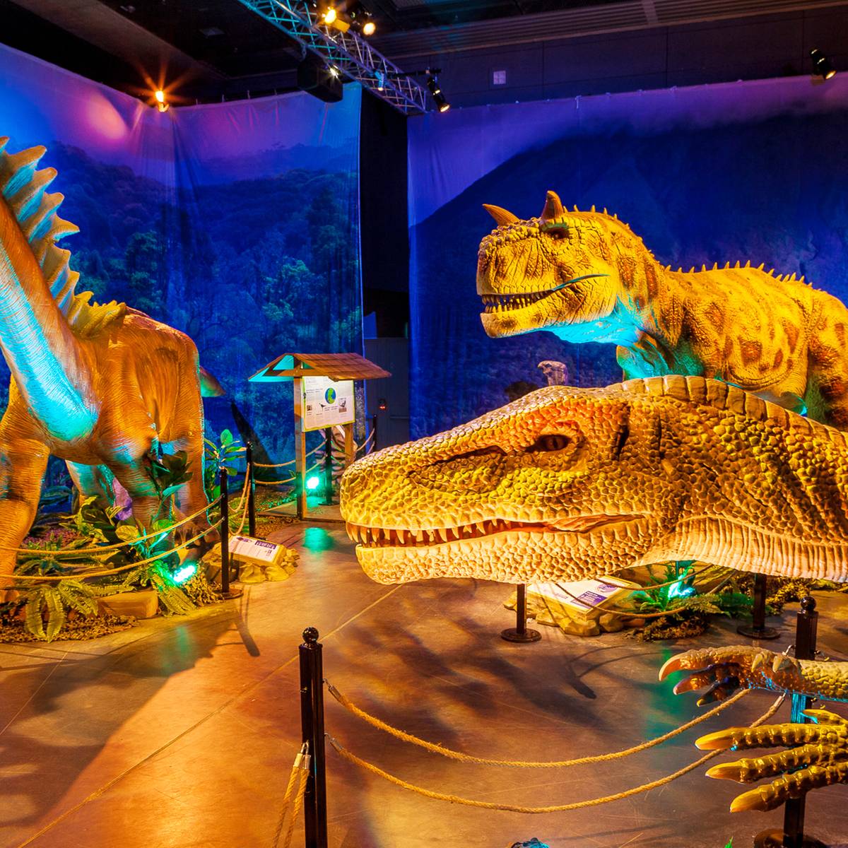 Dinosaurier in der Halle Münsterland - Antenne Münster