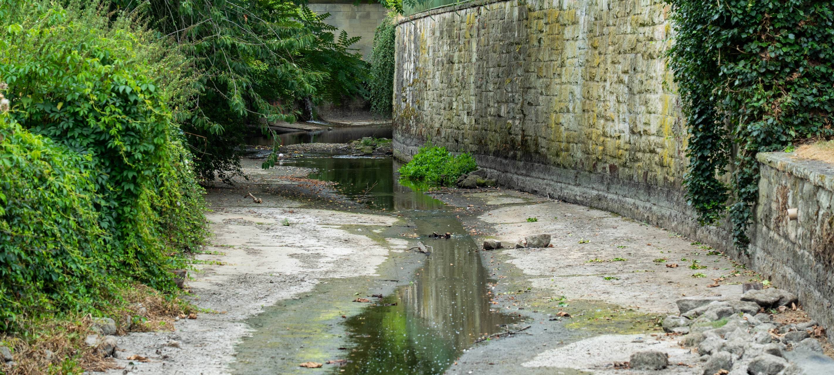In vielen Bächen und Flüssen in Münster, wie hier in der Aa in der Innenstadt, fließt kaum noch Wasser.